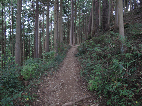 20161014hike (136)